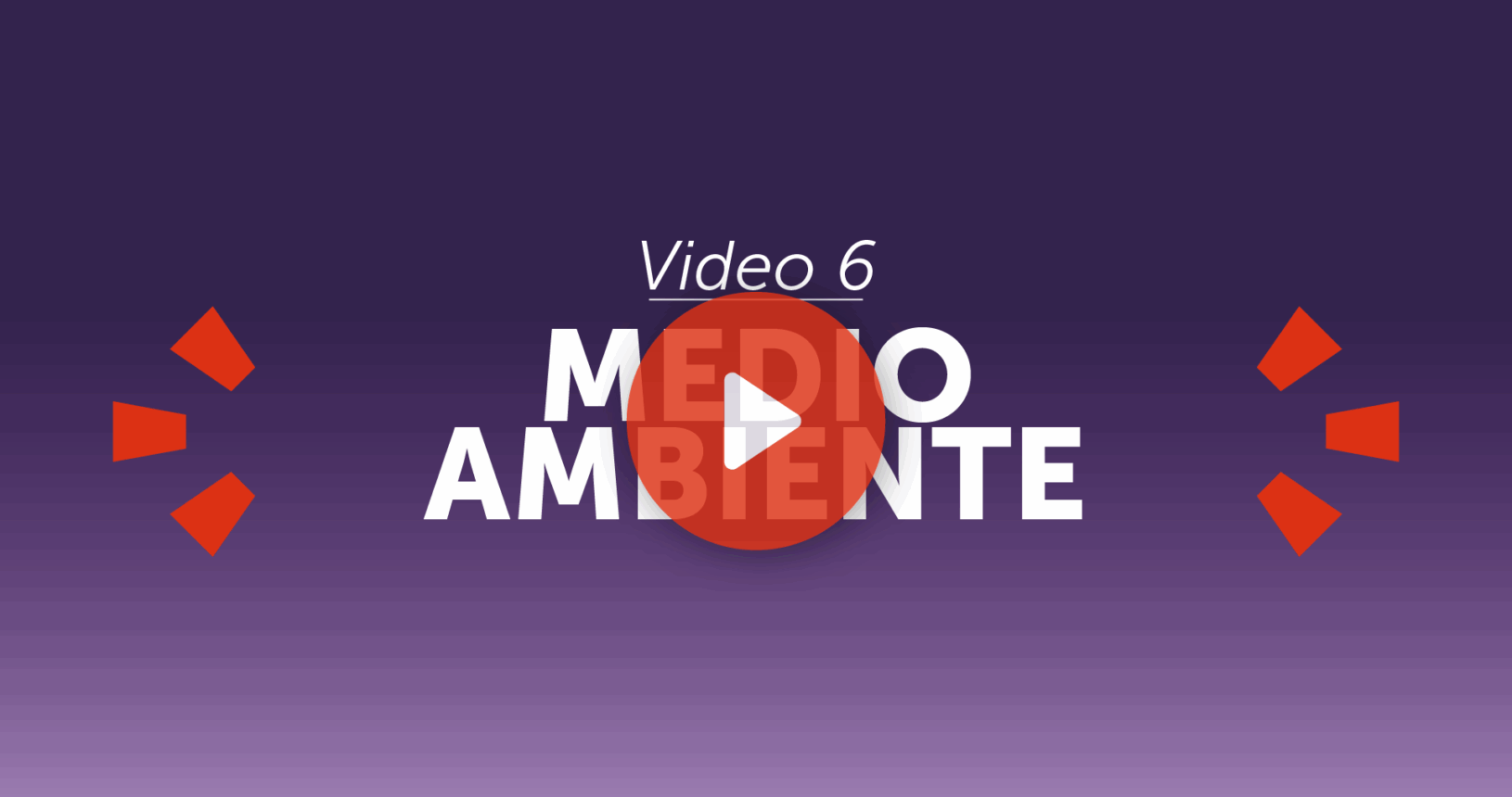 Video 6 - Medio ambiente