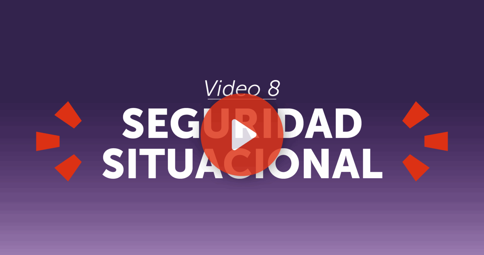 Video 8 - Seguridad situacional